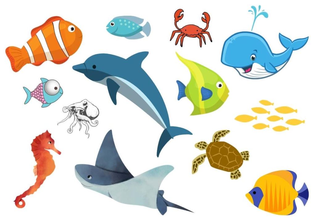dessin des animaux aquatiques