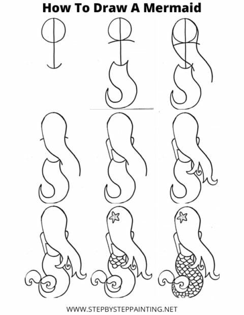 DESSIN DE SIRÈNE - Passion Sirène - Comparatifs de queue de sirène