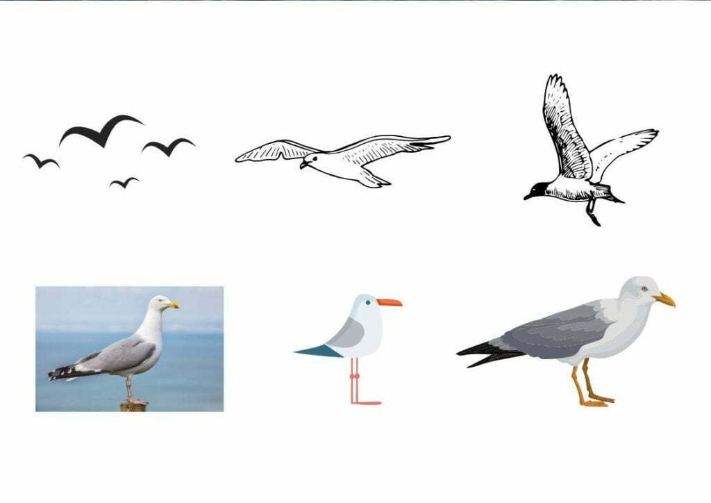 dessiner une mouette