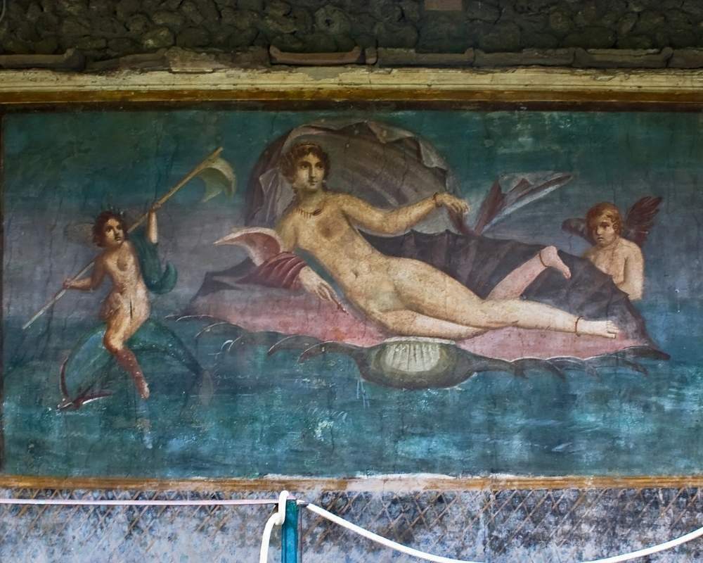 venus-desse-eau-coquillage
