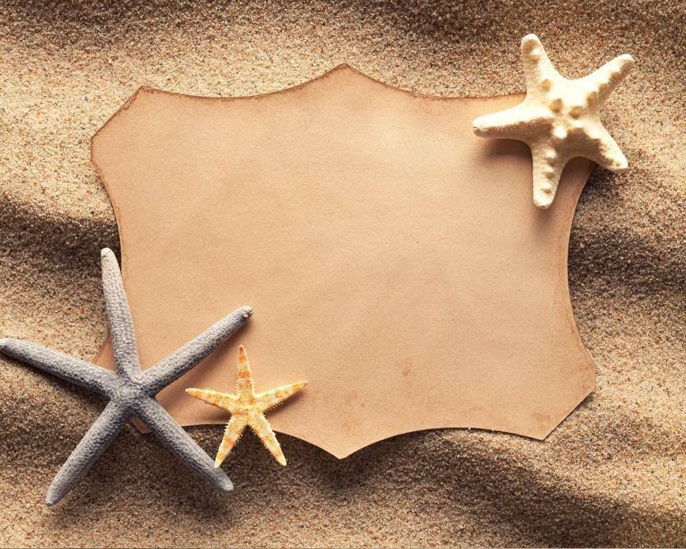 carte anniversaire sirene