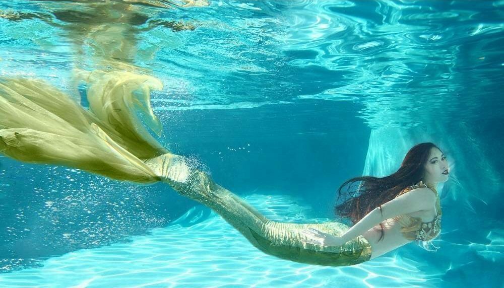 queue de sirene nageoire
